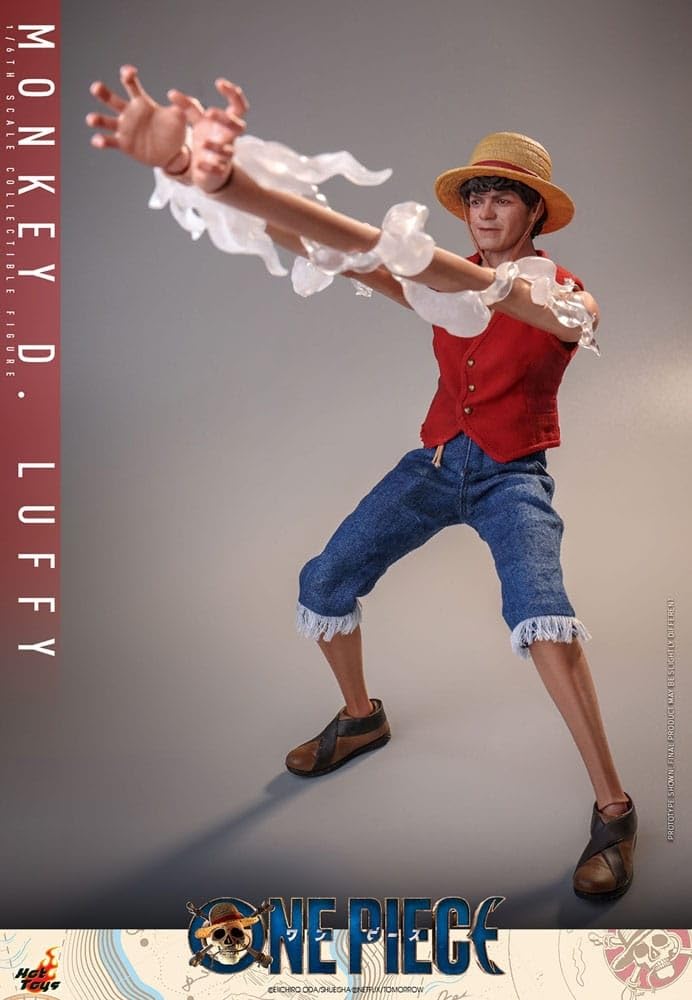 Amazon.co.jp: Hot Toys ワンピース モンキー・D・ルフィ 1/6スケール